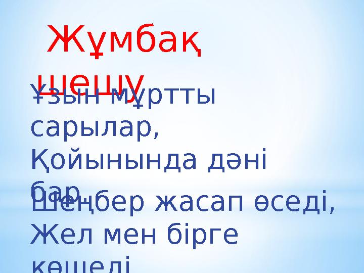 Жұмбақ шешу Ұзын мұртты сарылар, Қойынында дәні бар. - Шеңбер жасап өседі, Жел мен бірге көшеді.