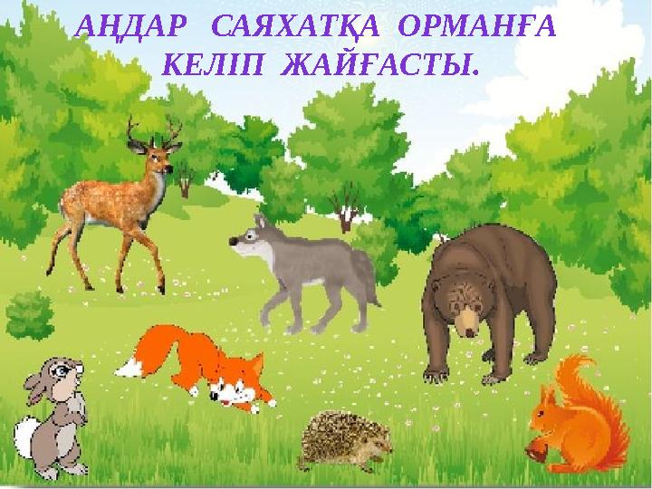 АҢДАР САЯХАТҚА ОРМАНҒА КЕЛІП ЖАЙҒАСТЫ.