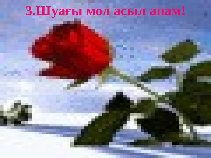 www.ZHARAR.com 3.Шуағы мол асыл анам!