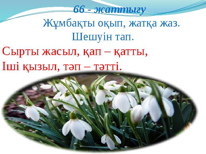 66 - жаттығу Жұмбақты оқып, жатқа жаз. Шешуін тап. Сырты жасыл, қап – қатты, Іші қызыл, тәп