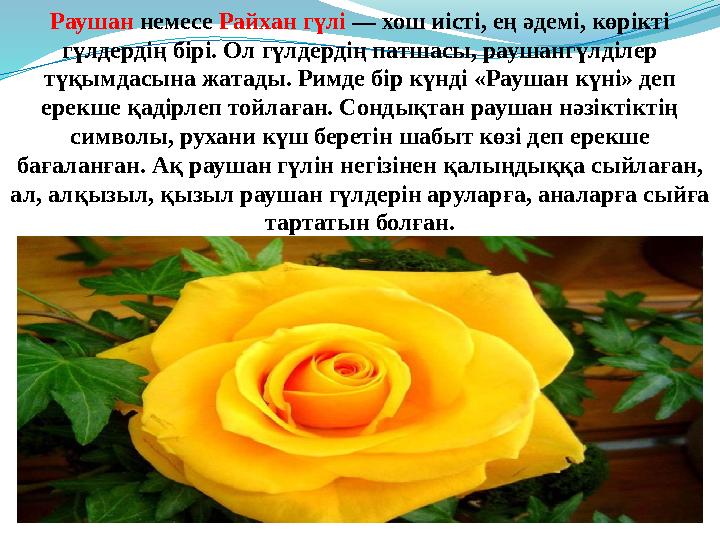 Раушан немесе Райхан гүлі — хош иісті, ең әдемі, көрікті гүлдердің бірі. Ол гүлдердің патшасы, раушангүлділер түқымдасына жата