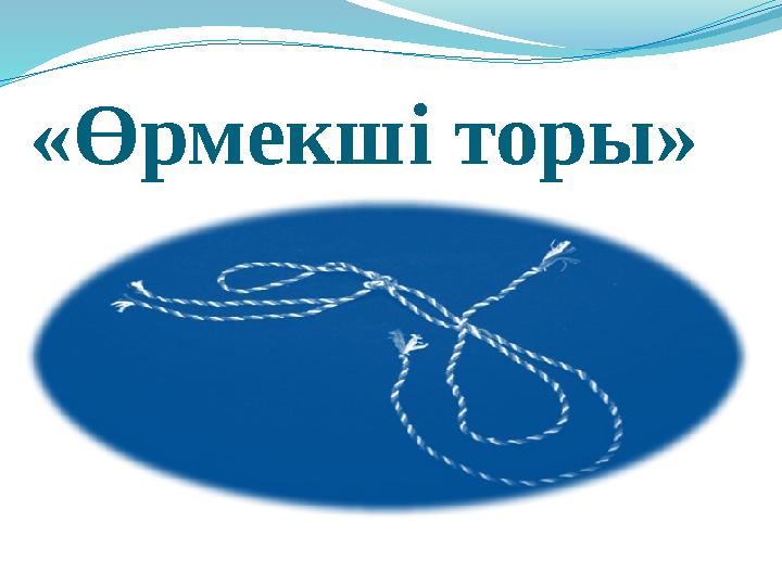 «Өрмекші торы»