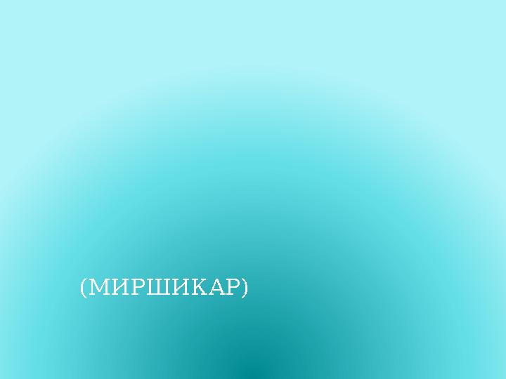 (МИРШИКАР)