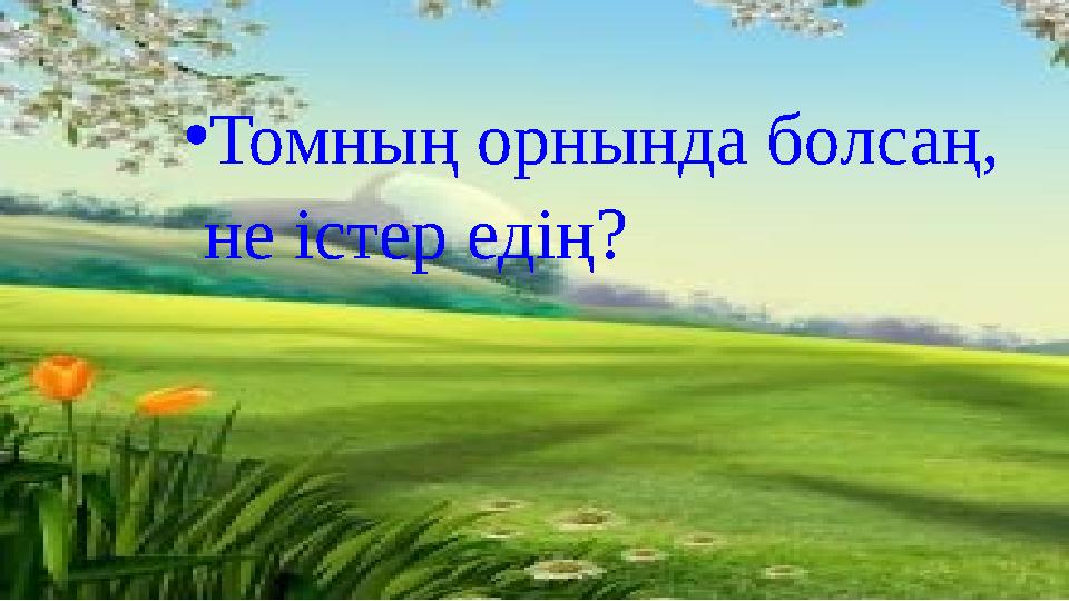 • Томның орнында болсаң, не істер едің?