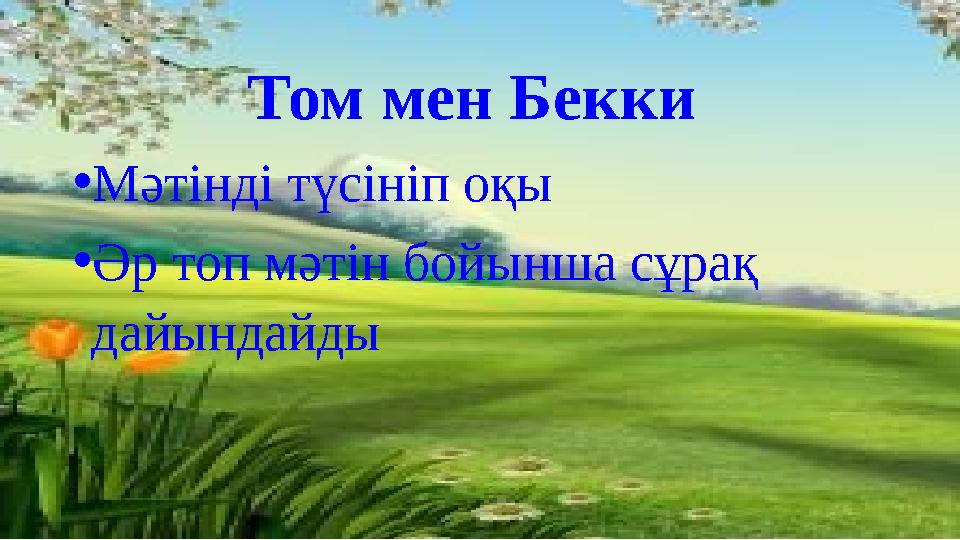 Том мен Бекки • Мәтінді түсініп оқы • Әр топ мәтін бойынша сұрақ дайындайды