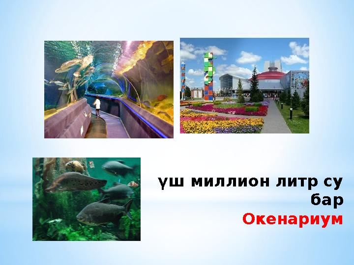 үш миллион литр су бар Окенариум