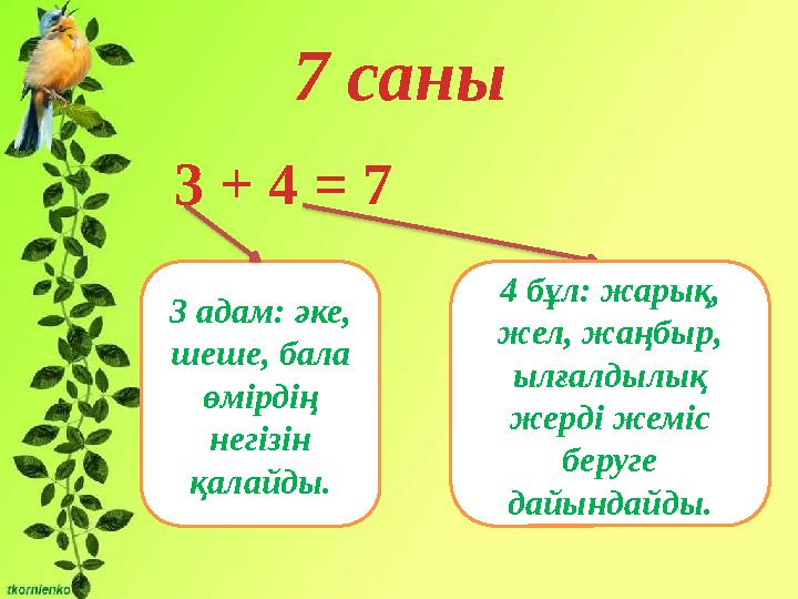 7 саны 3 + 4 = 7 3 адам: әке, шеше, бала өмірдің негізін қалайды. 4 бұл: жарық, жел, жаңбыр, ылғалдылық жерді жеміс бе