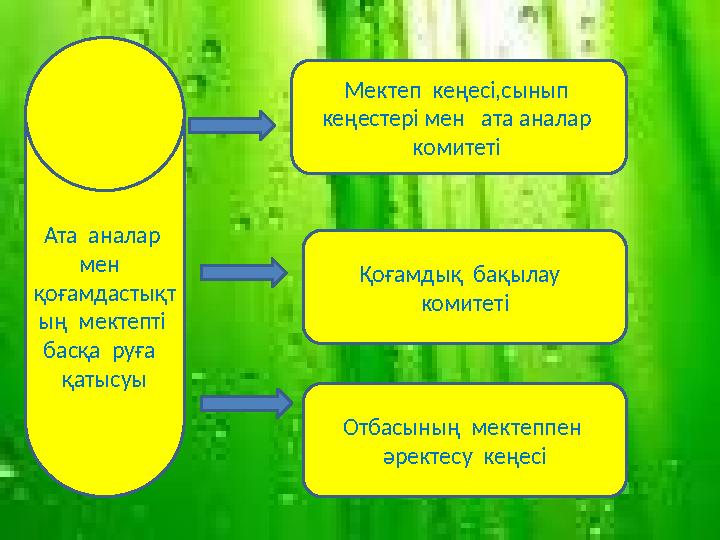 Ата аналар мен қоғамдастықт ың мектепті басқа руға қатысуы Мектеп кеңесі,сынып кеңестері мен ата аналар коми