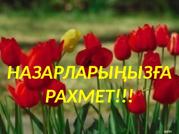 НАЗАРЛАРЫҢЫЗҒА РАХМЕТ!!!