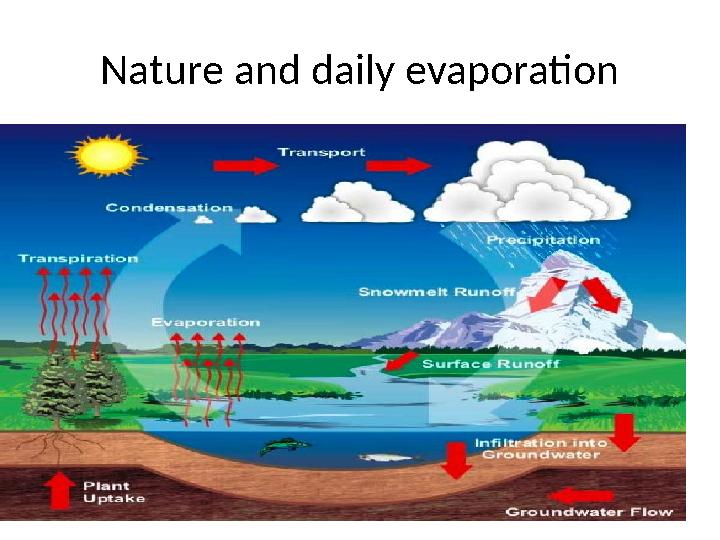 Nature and daily evaporation