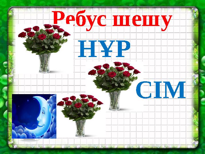 Ребус шешу НҰР СІМ