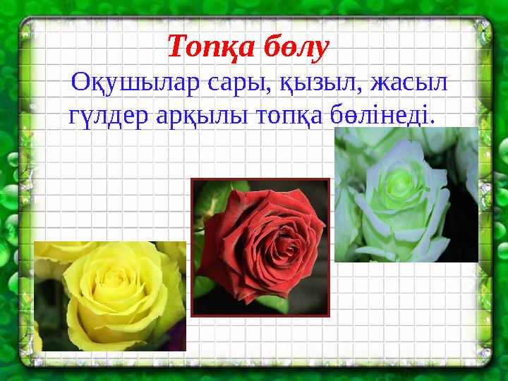 Топқа бөлу Оқушылар сары, қызыл, жасыл гүлдер арқылы топқа бөлінеді.
