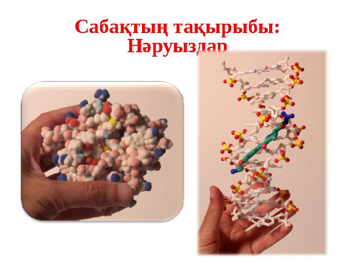 Сабақтың тақырыбы: Нәруыздар