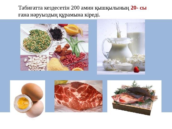 Табиғатта кездесетін 200 амин қышқылының 20- сы ғана нәруыздың құрамына кіреді.