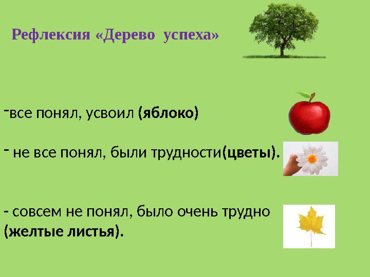 Рефлексия «Дерево успеха» -все понял, усвоил (яблоко) - не все понял, были трудности(цветы). - совсем не понял,