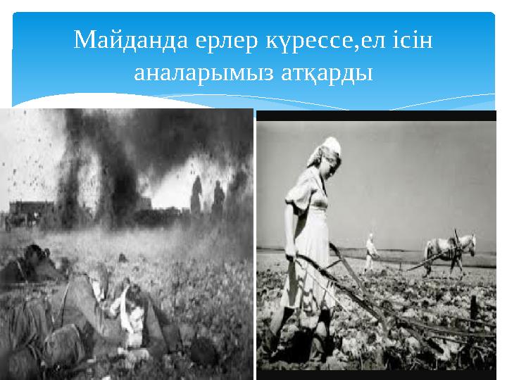 Майданда ерлер күрессе,ел ісін аналарымыз атқарды