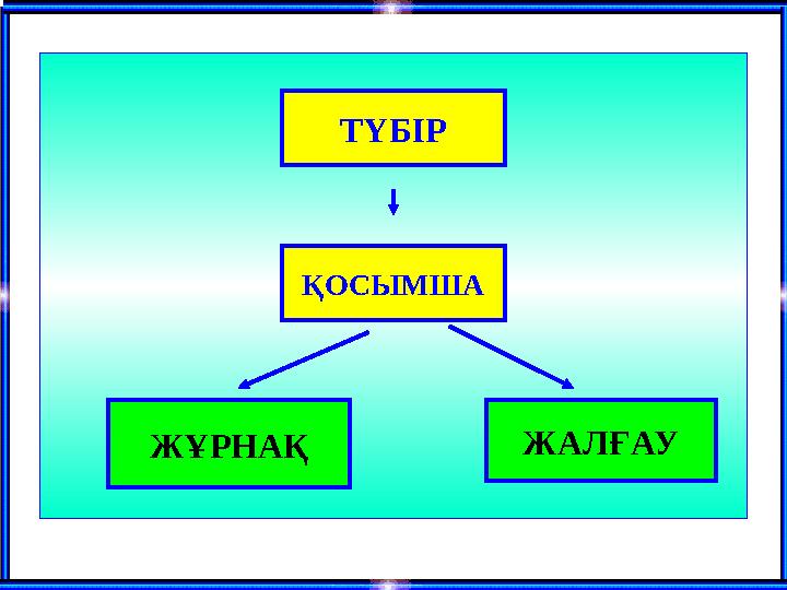 ТҮБІР ҚОСЫМША ЖҰРНАҚ ЖАЛҒАУ