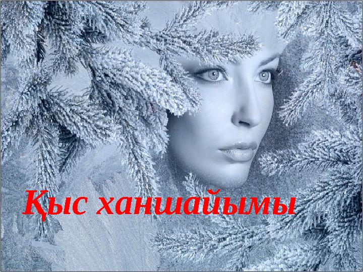 Қыс ханшайымы