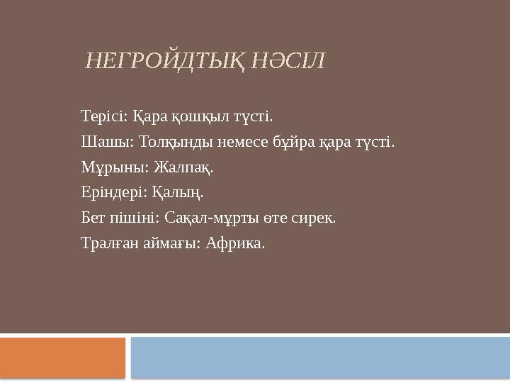 Мен жыныстық қатынасты қалаймын, қыз.