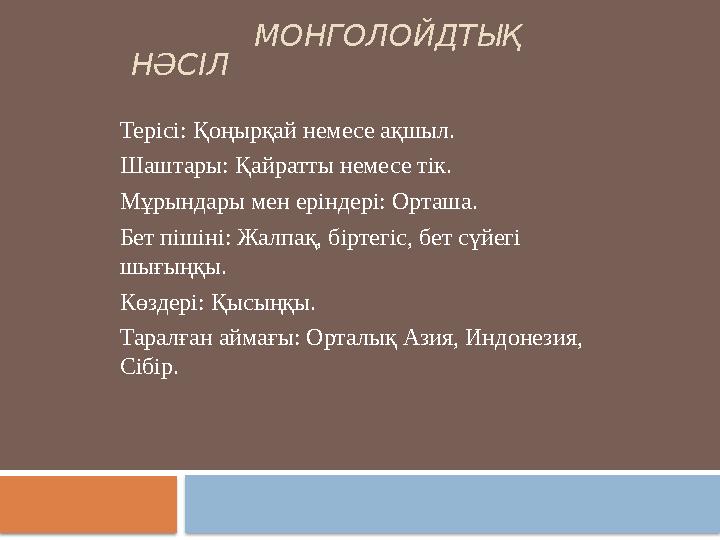 МОНГОЛОЙДТЫҚ НӘСІЛ Терісі: Қоңырқай немесе ақшыл. Шаштары: Қайратты немесе тік. Мұрындары мен еріндері: Орташа.
