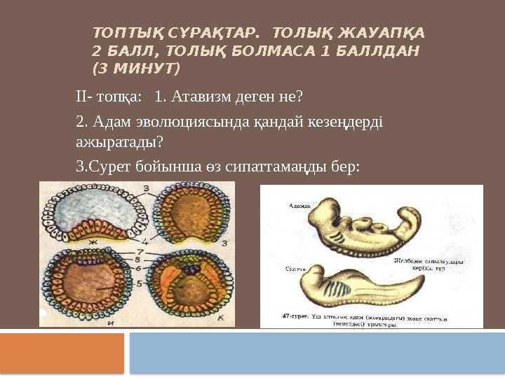 ТОПТЫҚ СҰРАҚТАР. ТОЛЫҚ ЖАУАПҚА 2 БАЛЛ, ТОЛЫҚ БОЛМАСА 1 БАЛЛДАН (3 МИНУТ) ІІ- топқа: 1. Атавизм деген не? 2. Адам эвол