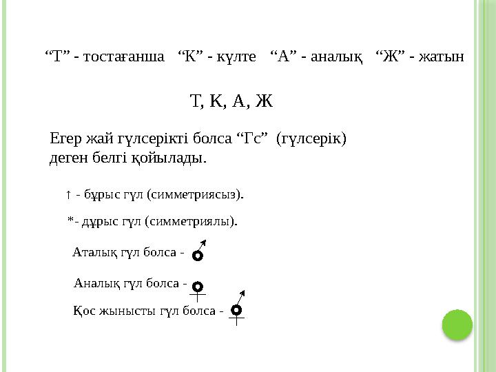 “Т” - тостағанша“К” - күлте“А” - аналық“Ж” - жатын Т, К, А, Ж Егер жай гүлсерікті болса “Гс” (гүлсерік) деген белгі қойыла