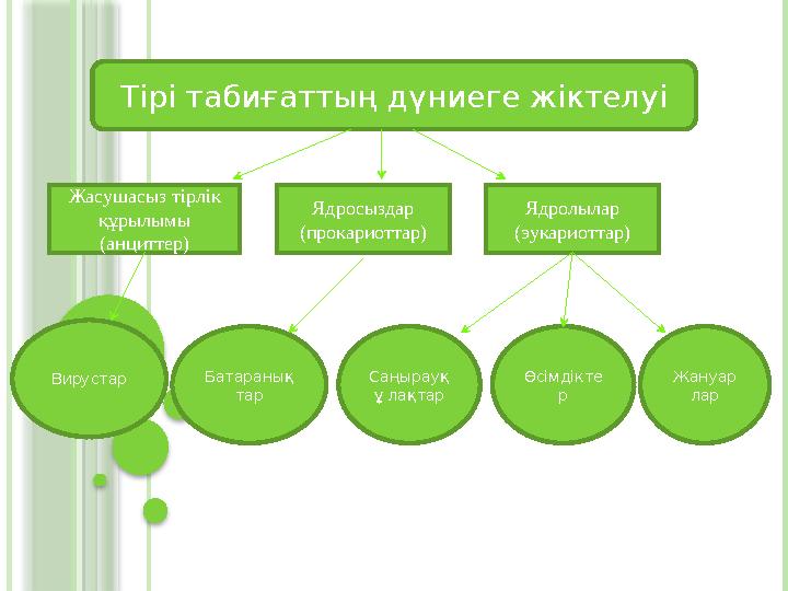 Тірі табиғаттың дүниеге жіктелуі Жасушасыз тірлік құрылымы (анциттер) Ядросыздар (прокариоттар) Ядролылар (эу