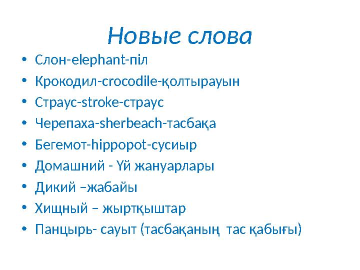 Новые слова •Слон-elephant-піл •Крокодил-crocodile-қолтырауын •Страус-stroke-страус •Черепаха-sherbeach-тасбақа •Бегемот-hippopo
