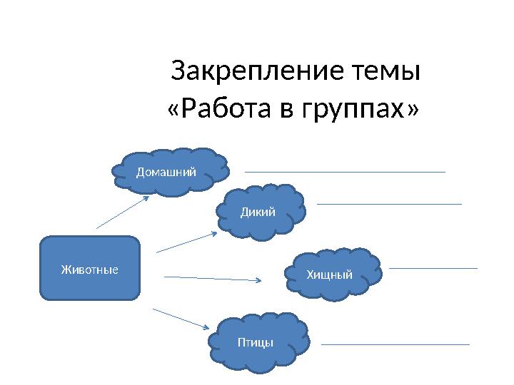 Закрепление темы «Работа в группах» Животные Домашний Дикий Хищный Птицы