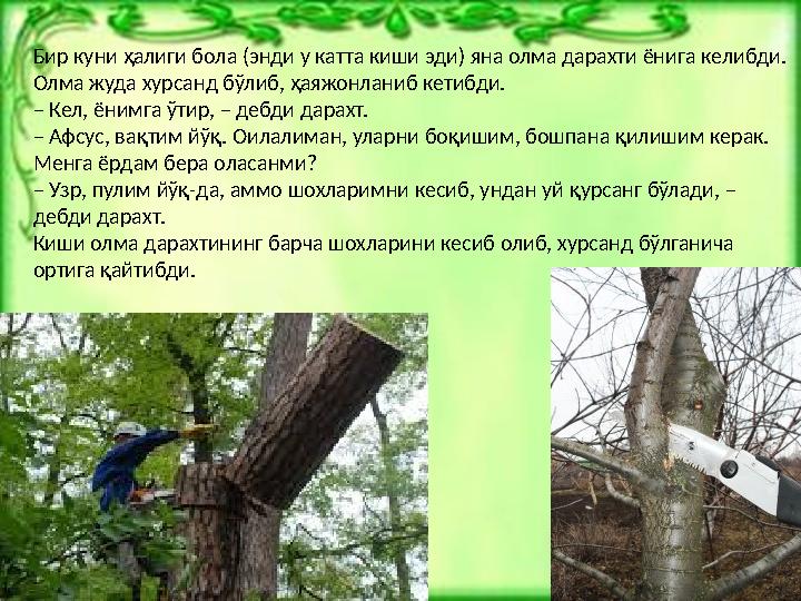 Бир куни ҳалиги бола (энди у катта киши эди) яна олма дарахти ёнига келибди. Олма жуда хурсанд бўлиб, ҳаяжонланиб кетибди. – Ке