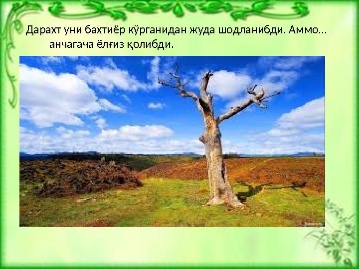 Дарахт уни бахтиёр кўрганидан жуда шодланибди. Аммо... анчагача ёлғиз қолибди.