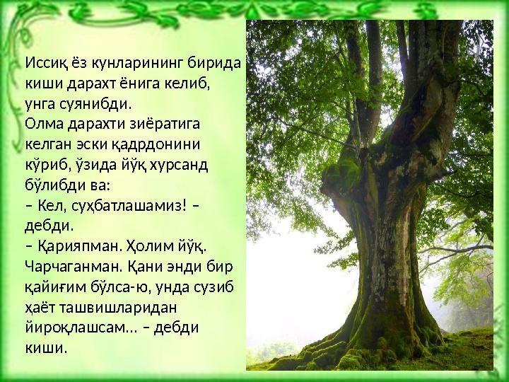 Иссиқ ёз кунларининг бирида киши дарахт ёнига келиб, унга суянибди. Олма дарахти зиёратига келган эски қадрдонини кўриб, ўзи