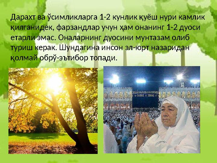 Дарахт ва ўсимликларга 1-2 кунлик қуёш нури камлик қилганидек, фарзандлар учун ҳам онанинг 1-2 дуоси етарли эмас. Оналарнинг д