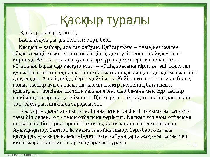 Қасқыр туралы Қасқыр – жыртқыш аң. Басқа атаулары да белгілі: бөрі, бері. Қасқыр – қайсар, аса сақ хайуан. Қайсар