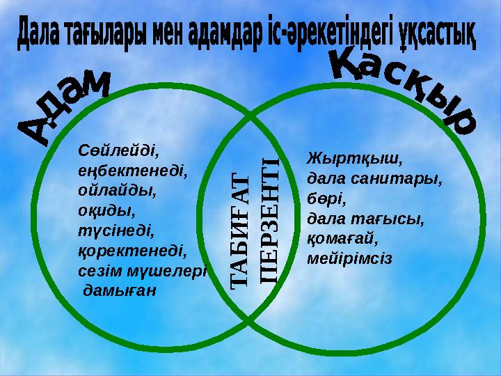 Т А Б И Ғ А Т П Е Р З Е Н Т І Сөйлейді, еңбектенеді, ойлайды, оқиды, түсінеді, қоректенеді, сезім мүшелері дамыған Жыртқыш,