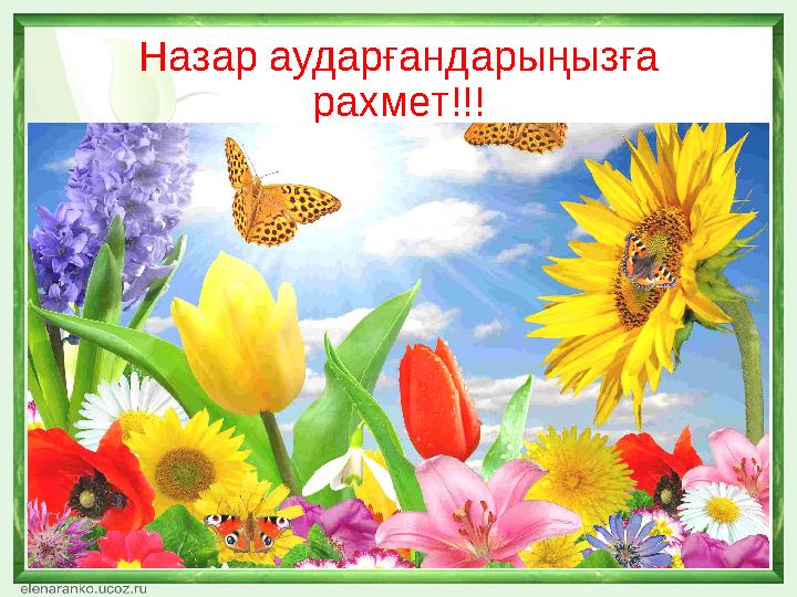 Назар аударғандарыңызға рахмет!!!