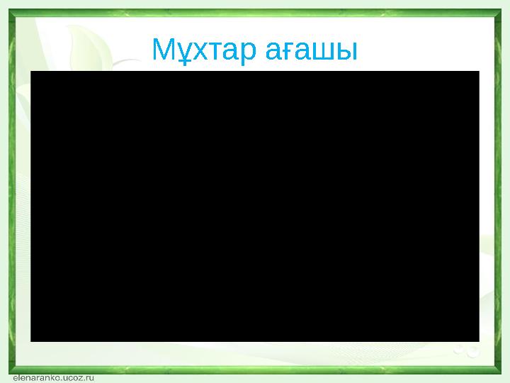 Мұхтар ағашы