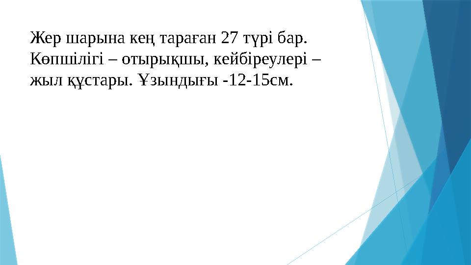 Жер шарына кең тараған 27 түрі бар. Көпшілігі – отырықшы, кейбіреулері – жыл құстары. Ұзындығы -12-15см.