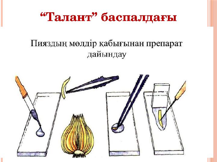 “ Талант” баспалдағы