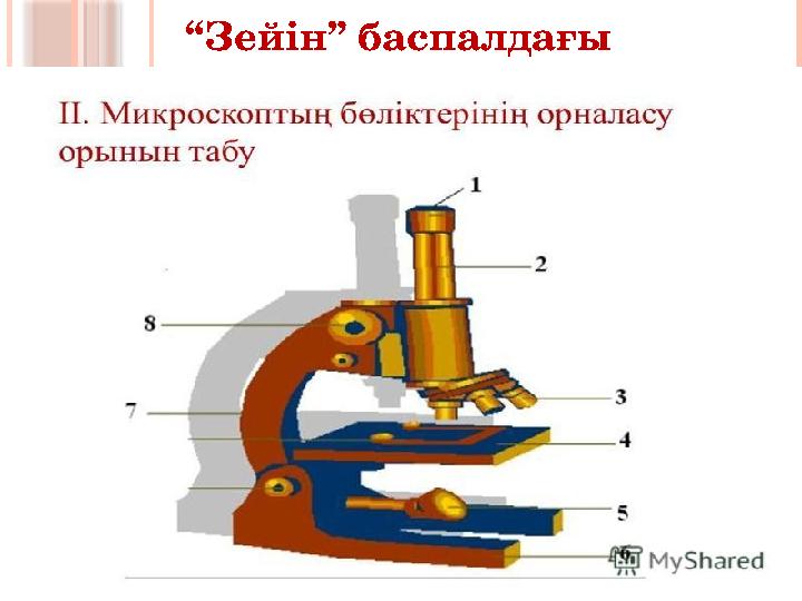 “ Зейін” баспалдағы