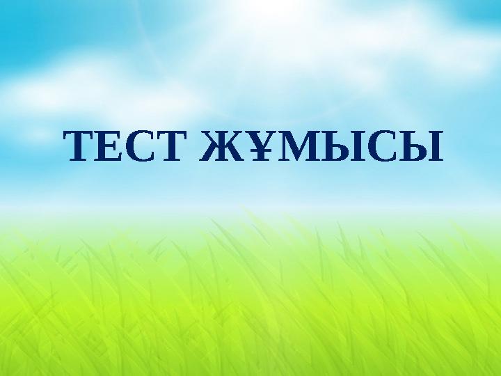 ТЕСТ ЖҰМЫСЫ