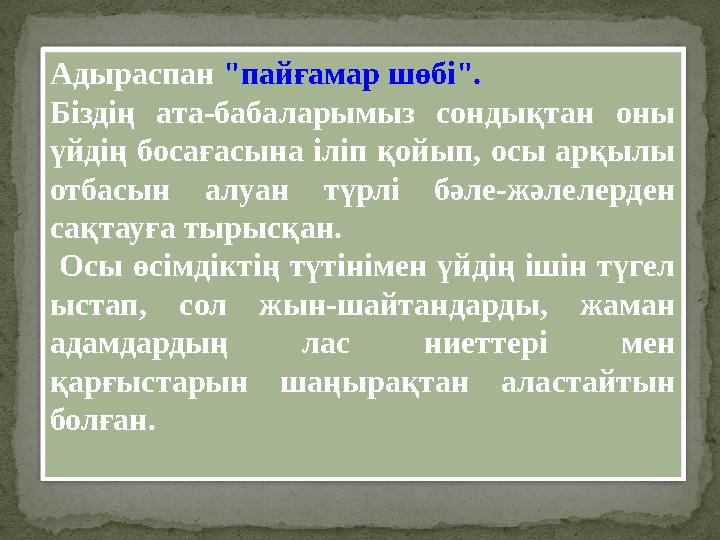 Адыраспан "пайғамар шөбі". Біздің ата-бабаларымыз сондықтан оны үйдің босағасына іліп қойып, осы арқылы отбасын алуан т