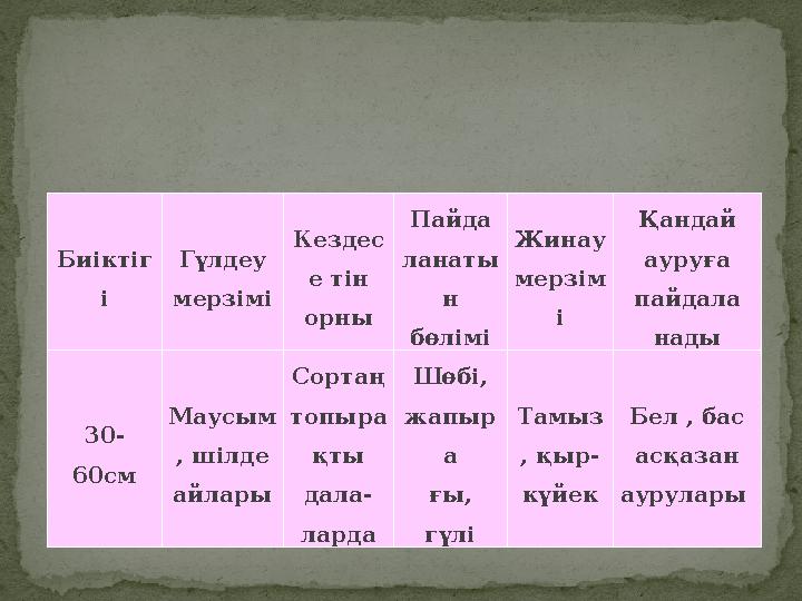 Биіктіг і Гүлдеу мерзімі Кездес е тін орны Пайда ланаты н бөлімі Жинау мерзім і Қандай ауруға пайдала нады 30- 60см Маусы