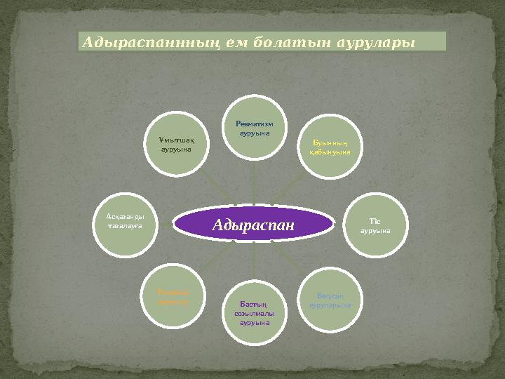 Адыраспан Ревматизм ауруына Буынның қабынуына Тіс ауруына Бел,сал ауруларынаБастың созылмалы ауруынаТарамыс ауруынаАсқазанды т