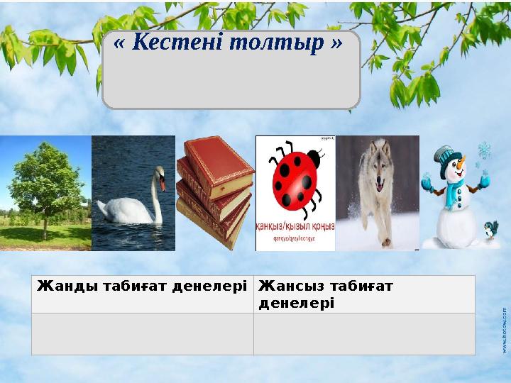 Жанды табиғат денелері Жансыз табиғат денелері « Кестені толтыр »