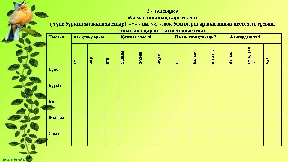 2 - тапсырма «Семантикалық карта» әдісі ( түйе,бүркіт,кит,жылқы,сиыр) «+» - ия, «-» - жоқ белгілерін әр нысанның кестедегі тұсы