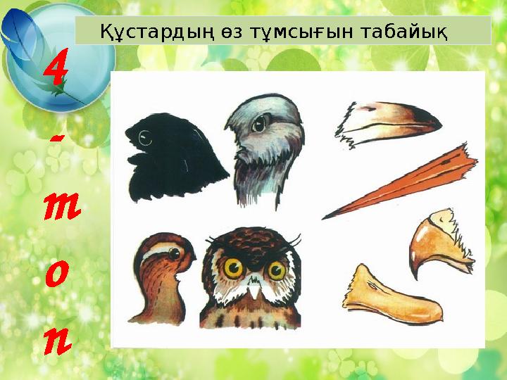 4 - т о п Құстардың өз тұмсығын табайық