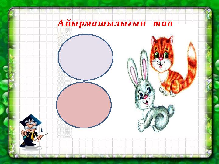 Айырмашылығын тап