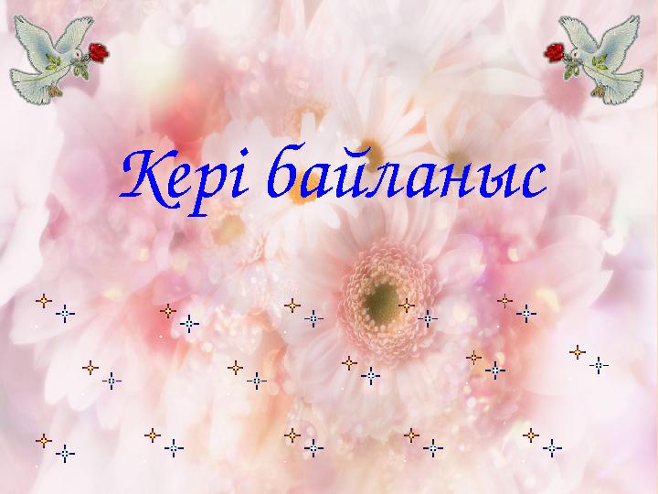 Кері байланыс