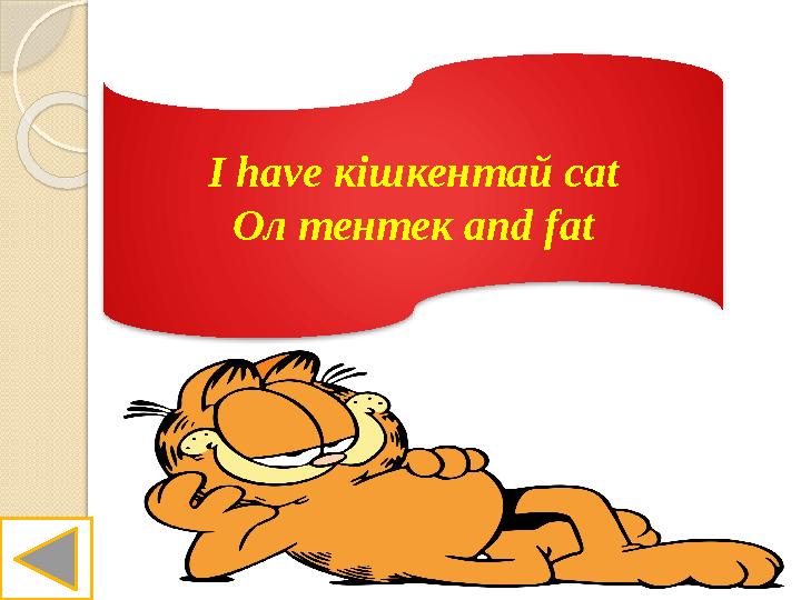 I have кішкентай cat Ол тентек and fat
